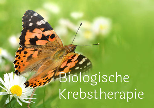 Biologische komplementäre Krebstherapie