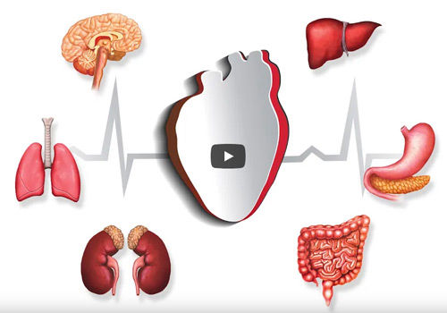 HRV-Messung mit Nilas MV®