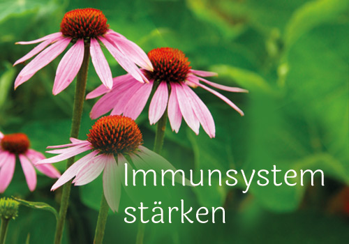 Immunsystem stärken