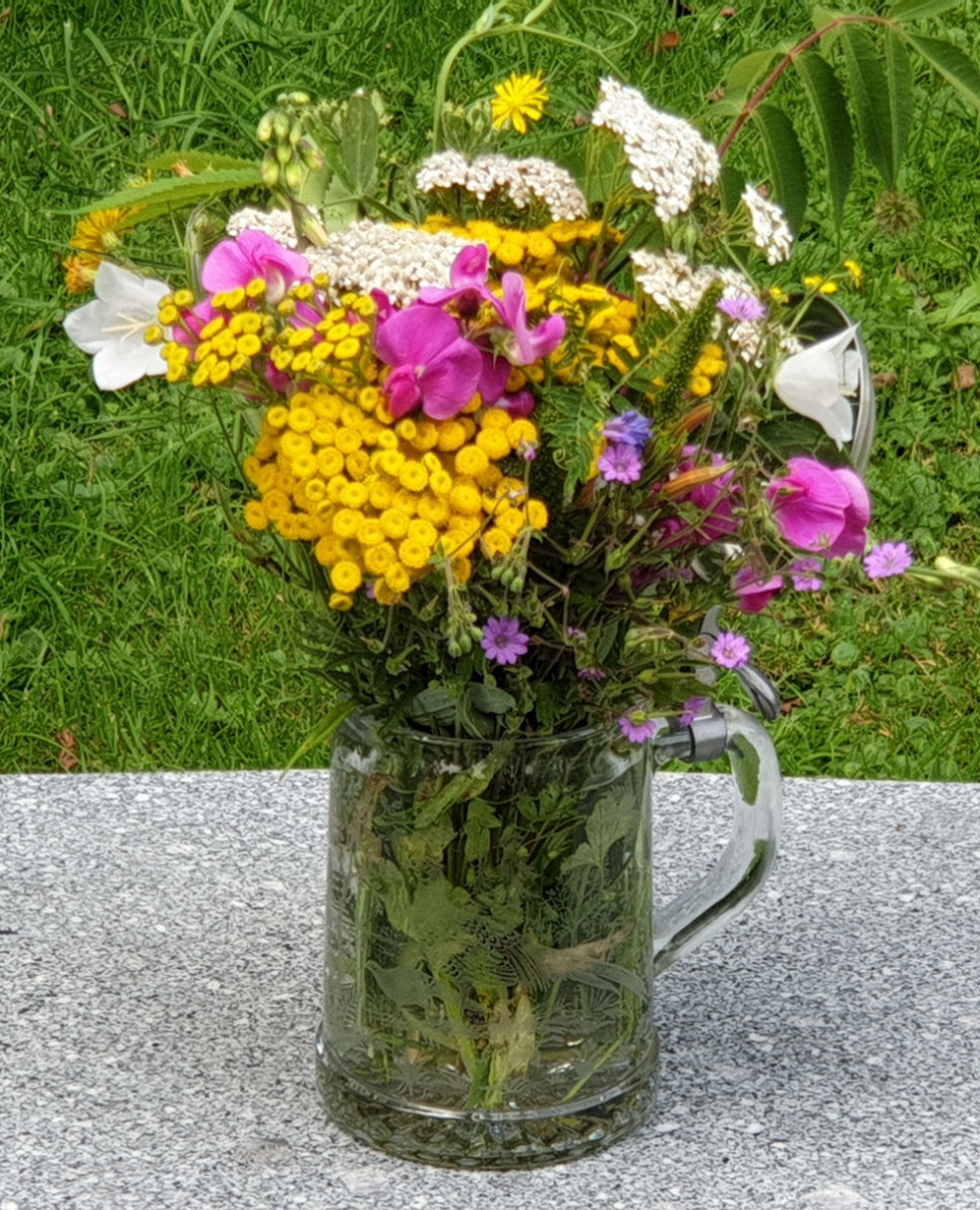 Sommertipps Naturheilkunde